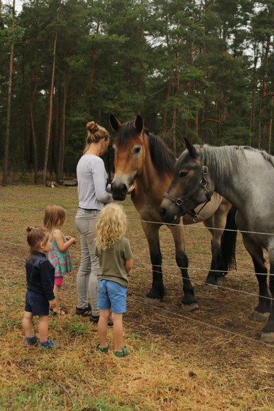 Kinder bei den Pferden auf Hof Jera