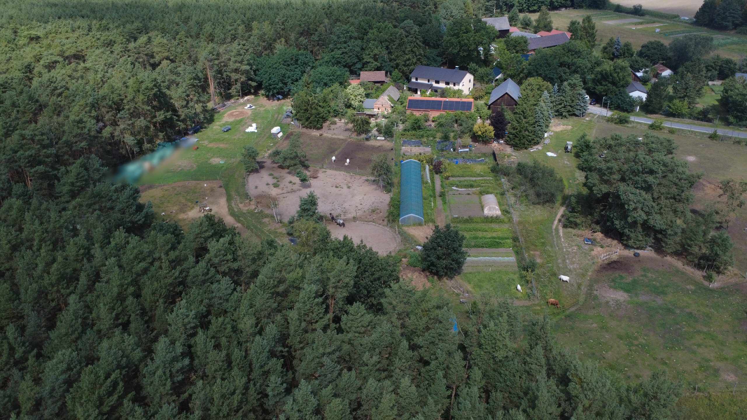 Luftaufnahme von Hof Jera in Drachhausen im Spreewald