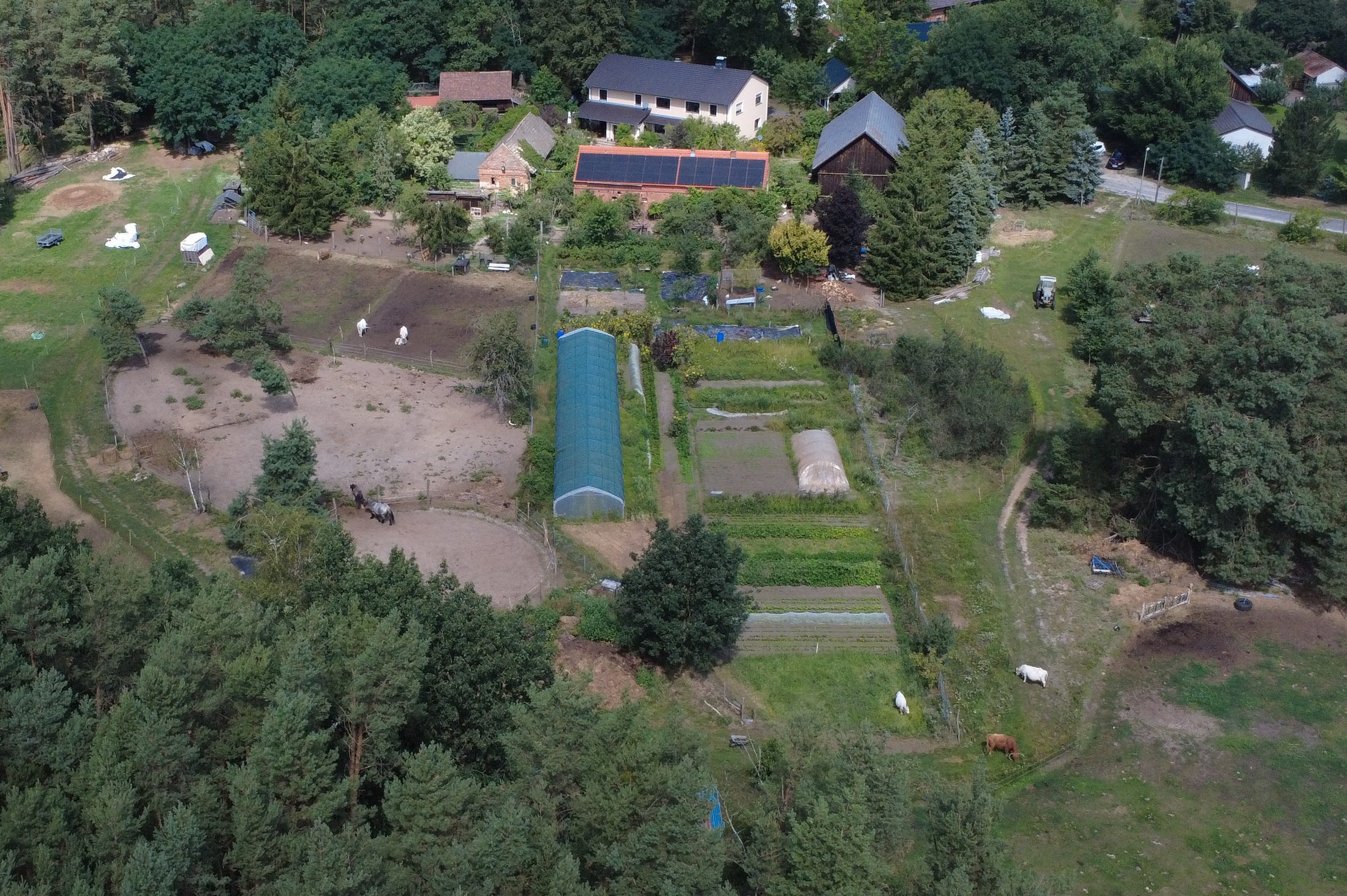 Luftaufnahme von Hof Jera in Drachhausen im Spreewald